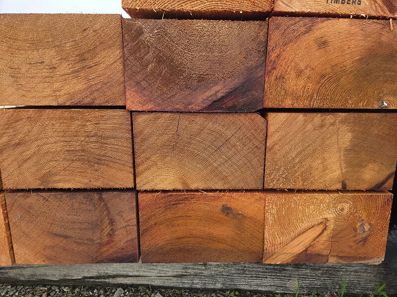 Cedar