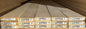 L/F 1X4 Poplar S4S