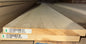 L/F 1X10 Poplar S4S