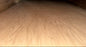 4X8X3/4" Oak Plywood
